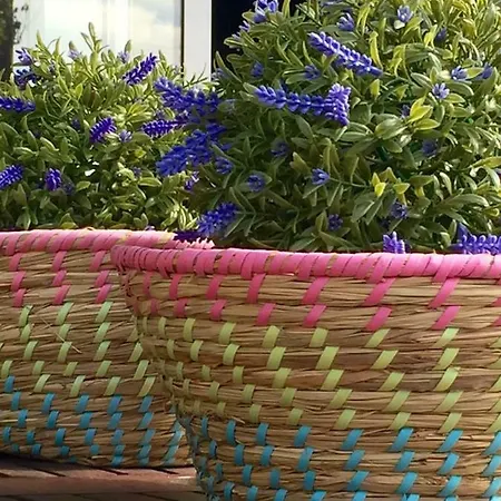 Holiday home Casa De Ferias Josefa D'obidos