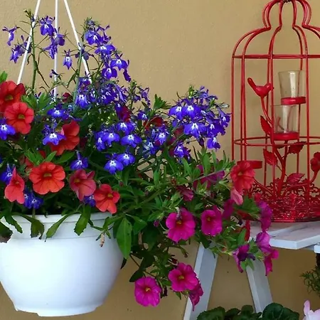 Casa De Ferias Josefa D'obidos * Obidos