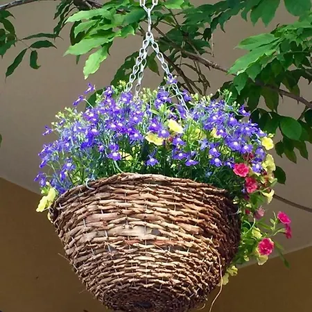 Casa De Ferias Josefa D'obidos *